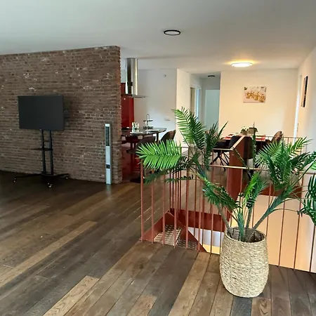 Penthouse Habicht