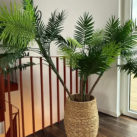 Penthouse Habicht Apartment *